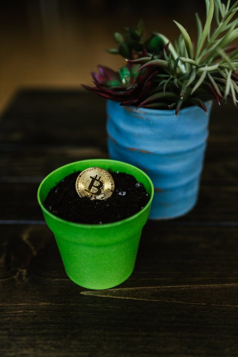 Finanças Sustentáveis: Investindo com Consciência
