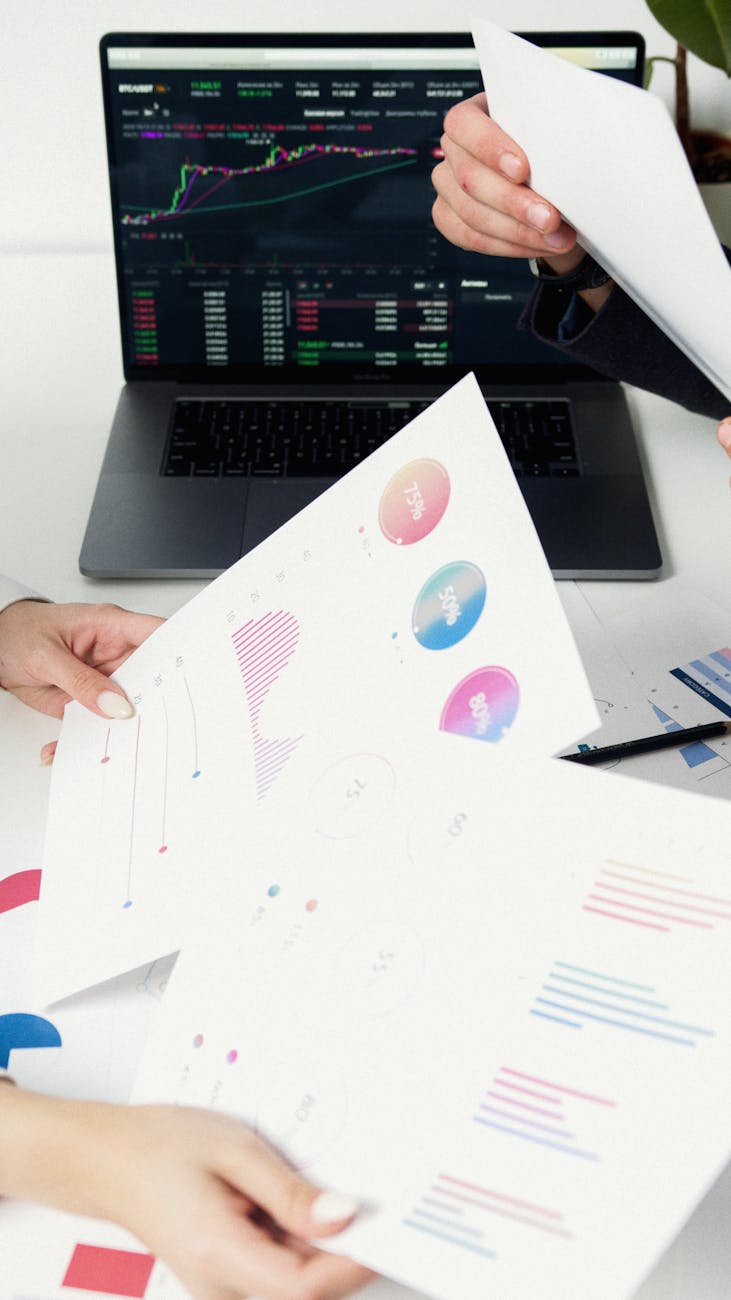 Investimentos para Iniciantes: Guia Completo para Começar